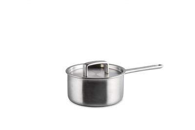 Steelpan 16 cm met Deksel