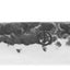 Forged Sebra Vleesmes 20.5 cm